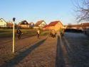 DSC00821.JPG