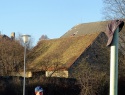 DSC00779.JPG